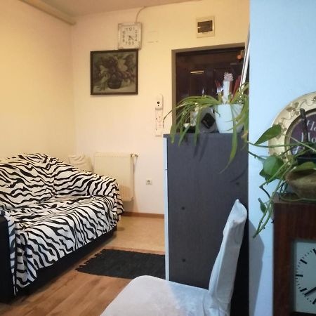 Apartament 2Camere - Prima Casa Floreşti 外观 照片