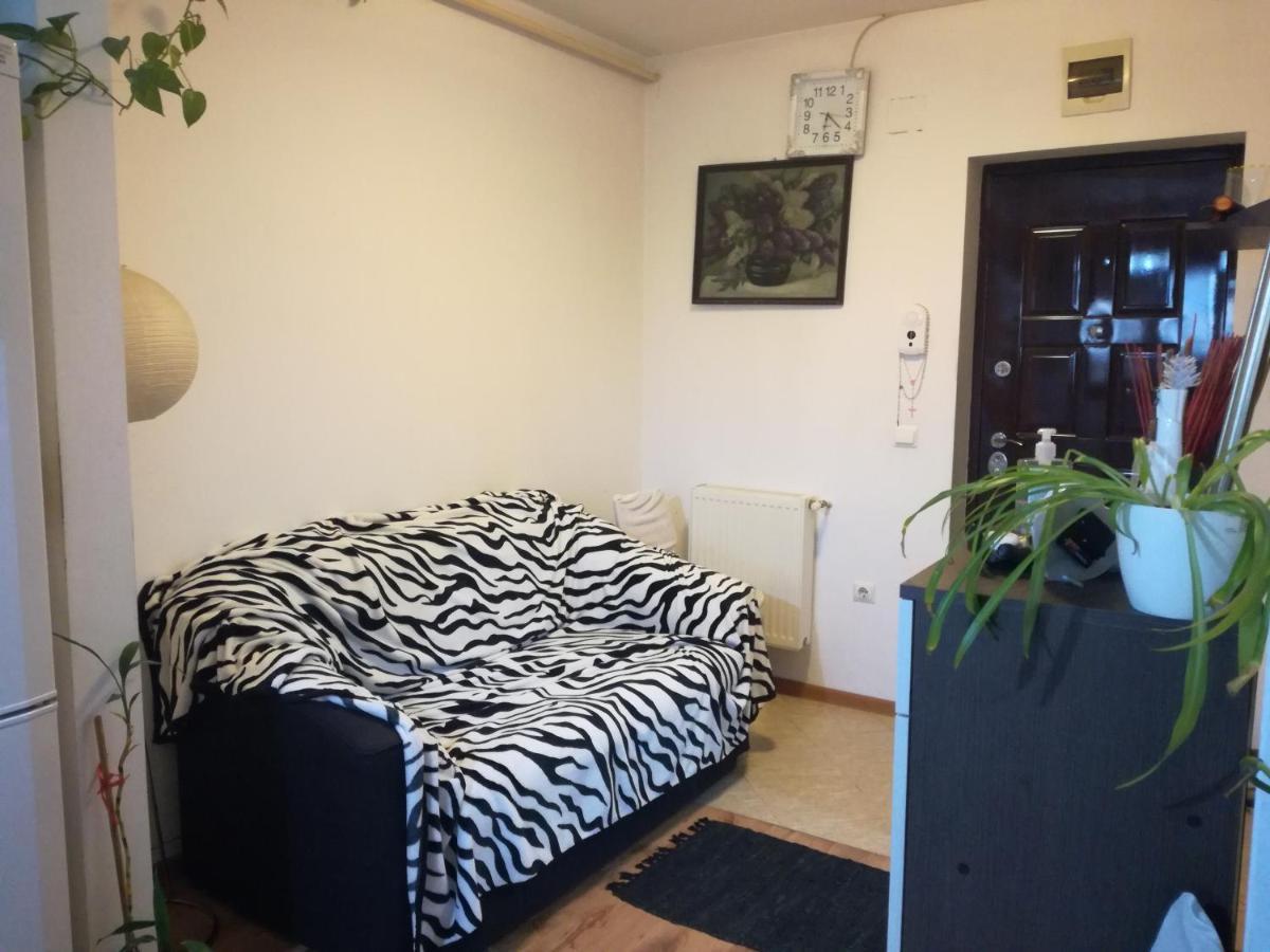 Apartament 2Camere - Prima Casa Floreşti 外观 照片