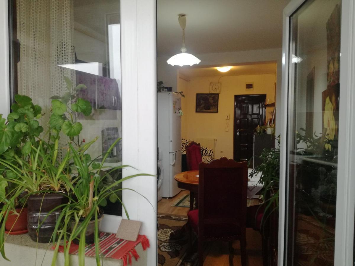 Apartament 2Camere - Prima Casa Floreşti 外观 照片
