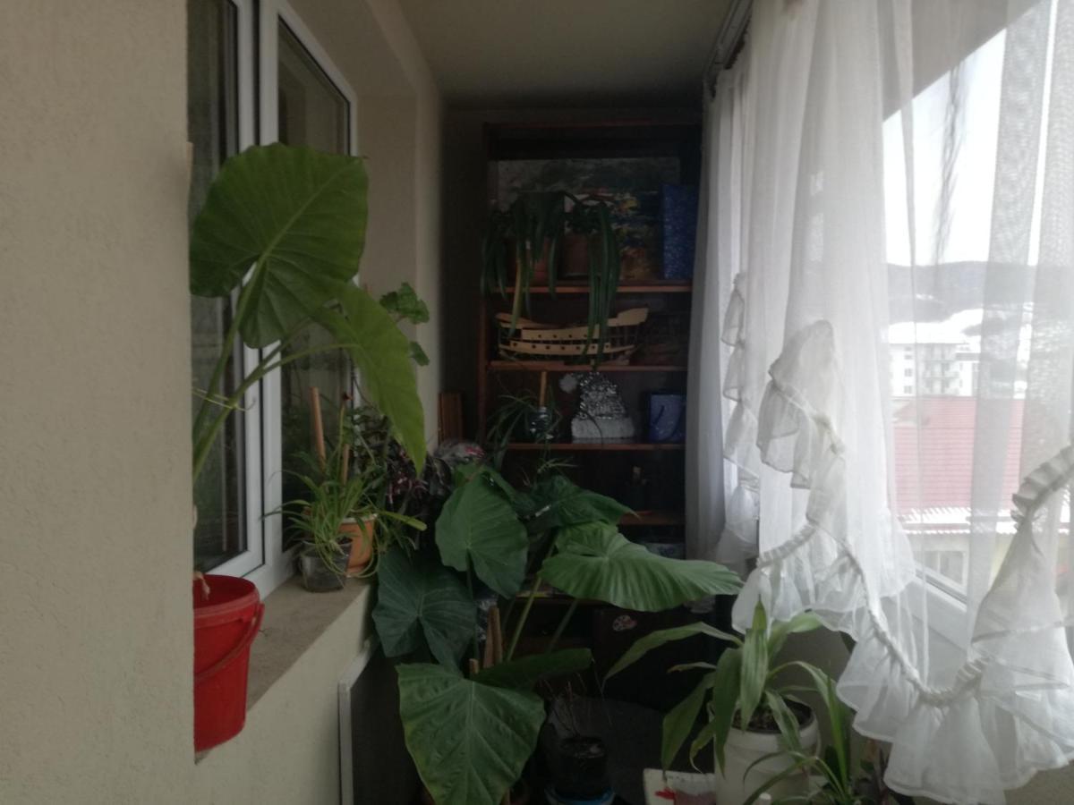 Apartament 2Camere - Prima Casa Floreşti 外观 照片
